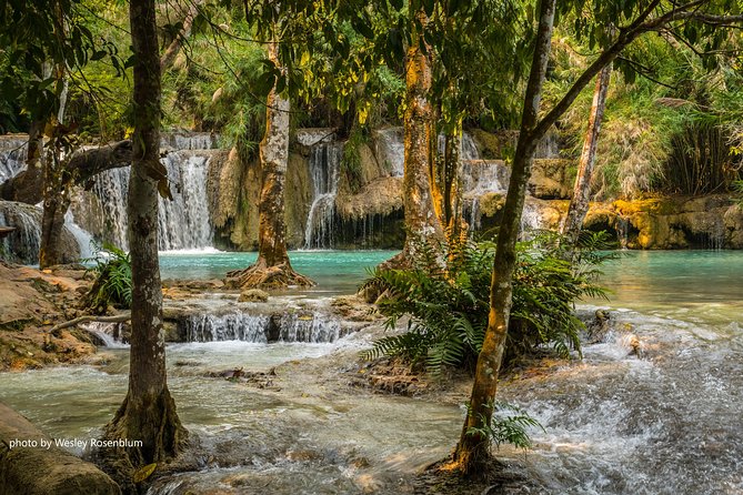 Private Tour Full-day Morning Market, Villages and Scenic Kuang Si Waterfall - Customer Feedback