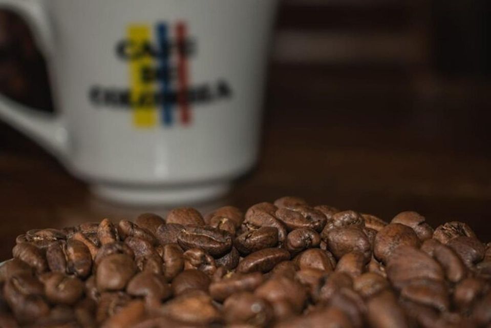 Private Tour in an Authentic, Ecological Local Coffee Finca - Sustainable Coffee Practices