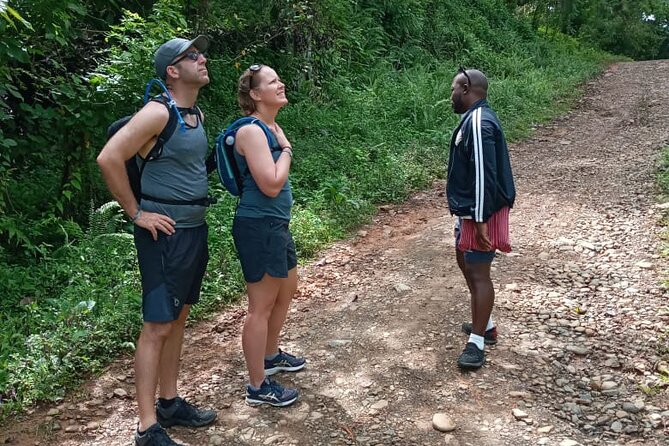 Private Tour in Miches With La Jarda Waterfall Experience - What to Expect