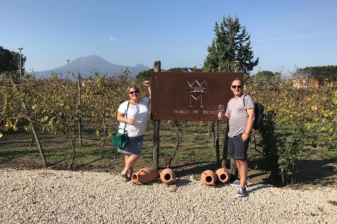 Private Tour of Pompeii Ruins + Organic Wine and Lunch Tasting - Pricing and Cancellation Policy