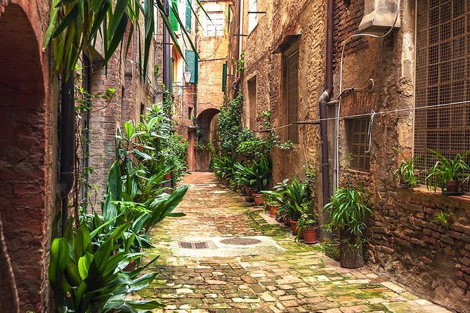 Private Tour: Secret Siena Walking Tour - Capturing Unique Panoramas