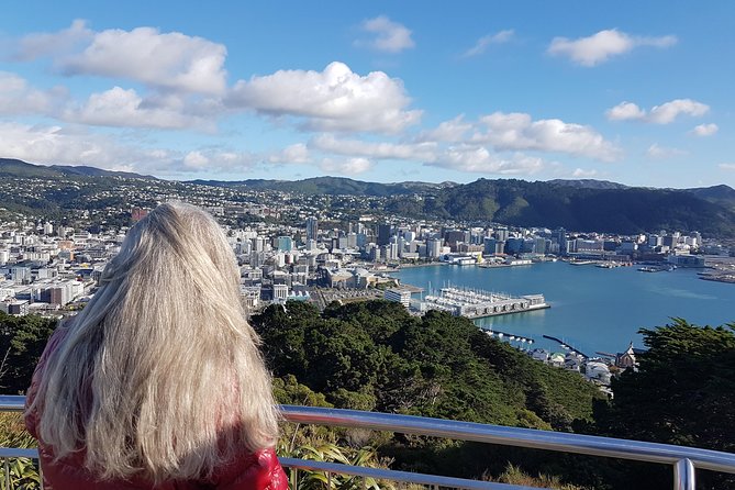 Private Wellington Full Day Sightseeing Tour - Recommended Itinerary