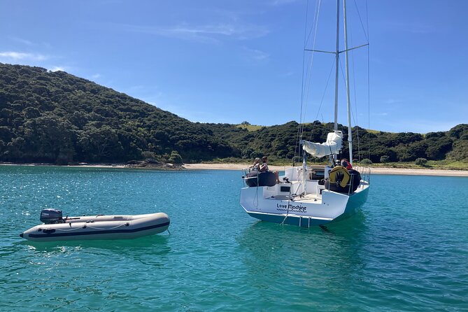 Private Yacht Charter and Island Excursions in the Bay of Islands - Additional Tips for Visitors