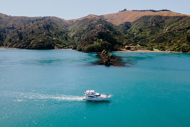 Private Yacht Cruise in the Marlborough Sounds New Zealand - Activities Available on Board