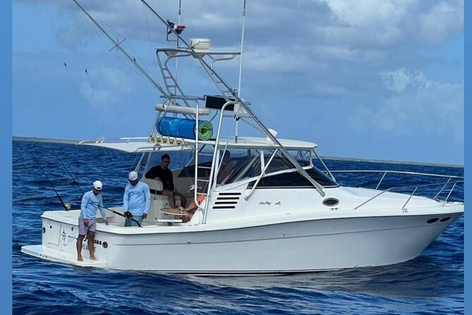 Private Yacht Tours To Isla Saona, Natural Pool Palmilla And Snorkeling. - Snorkeling Experience Overview