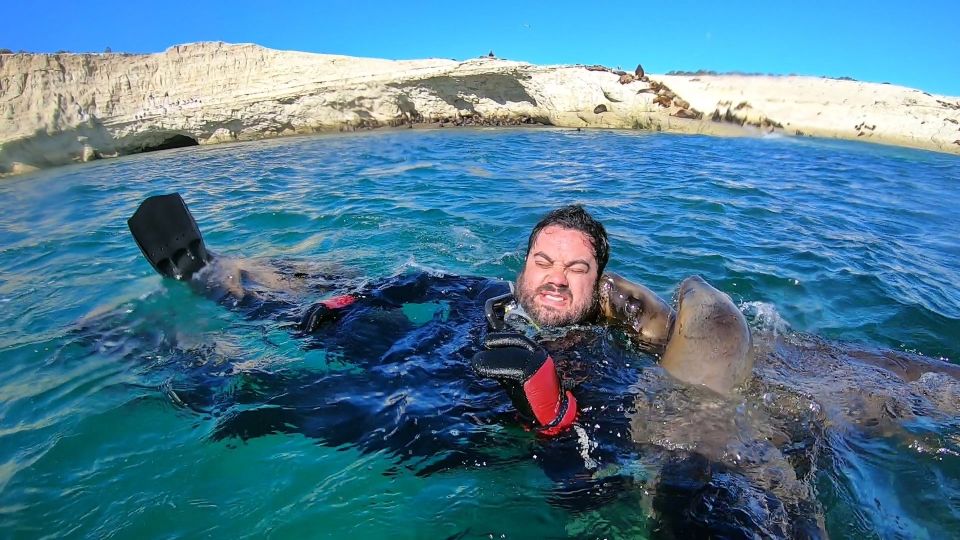 Puerto Madryn: 3-Hour Snorkeling Trip With Sea Lions - Customer Reviews