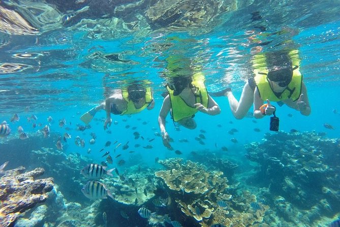 Puerto Plata Shore Excursion, Snorkeling Tour & Sosua Beach Day - Booking Tips