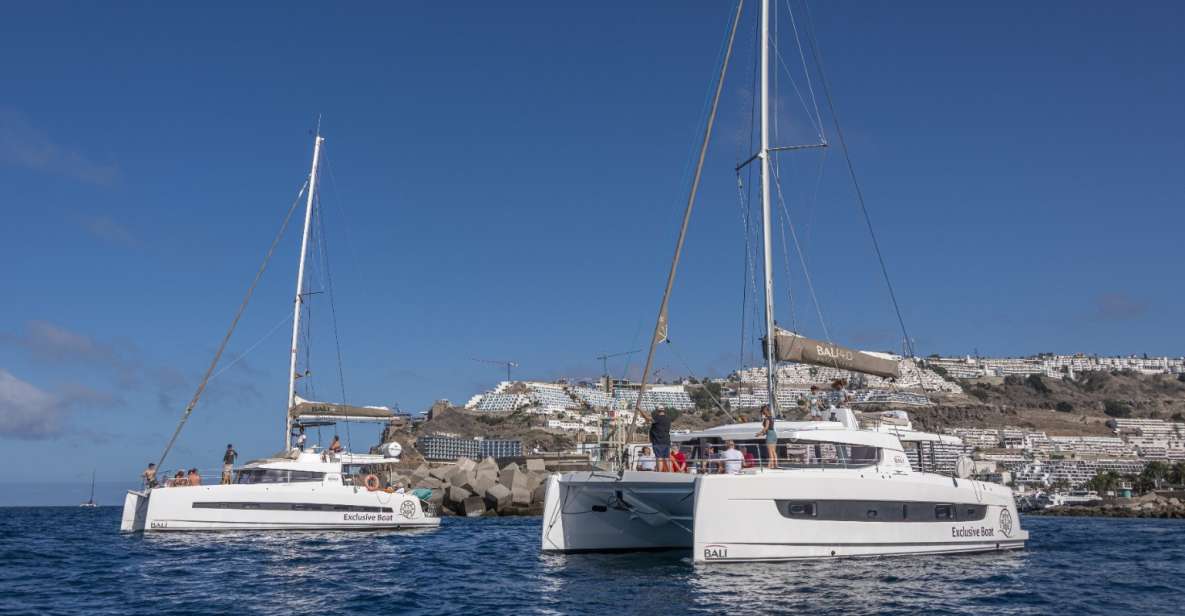 Puerto Rico De Gran Canaria: Private Catamaran Charter - Transportation and Accessibility