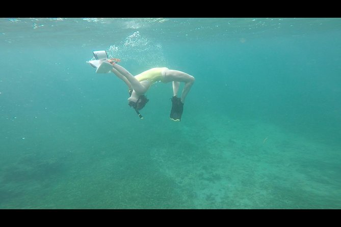 Puerto Rico Jet Snorkel With Turtles and Videos in San Juan - Confirmation and Accessibility