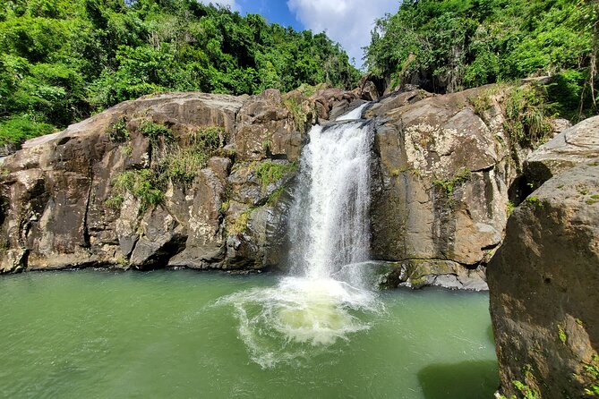 Puerto Rico Tour to El Yunque Rainforest Hiking to Waterfall - Tour Reviews and Accolades