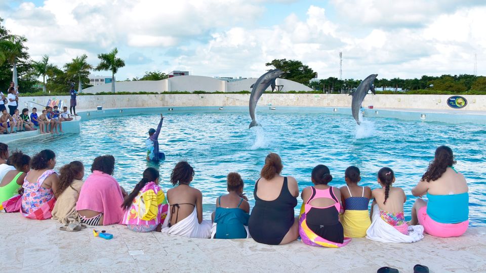 Punta Cana: Dolphin Discovery Swims and Encounters - Included Amenities and Features