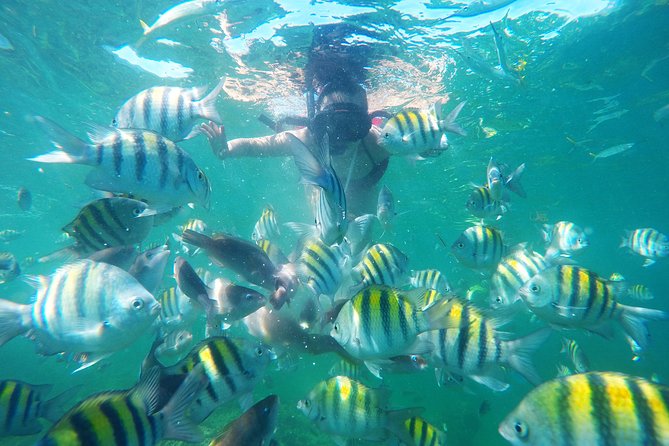 Punta Cana Private Cruise up to 10 Snorkeling & Seafood Lunch - Booking Process