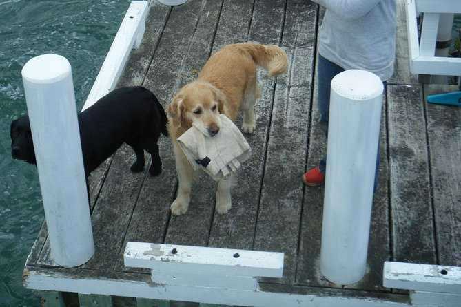 Queen Charlotte Sound Mail Boat Cruise - Booking Details