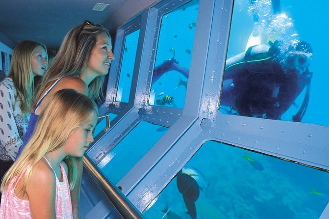 Quicksilver Great Barrier Reef Snorkel Cruise From Port Douglas - Customer Reviews