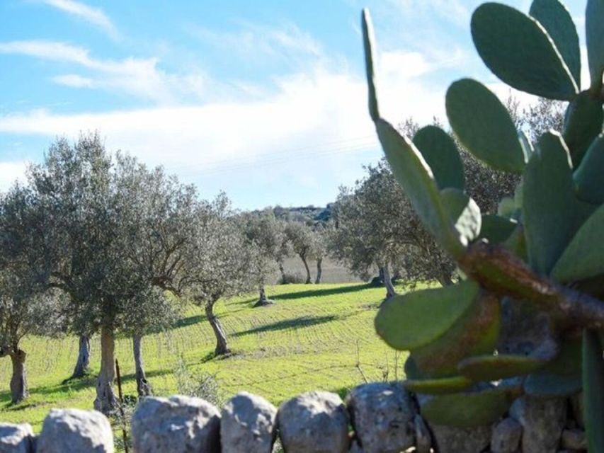 Ragusa: Ricotta Making Experience at a Farm With Dinner - Frequently Asked Questions