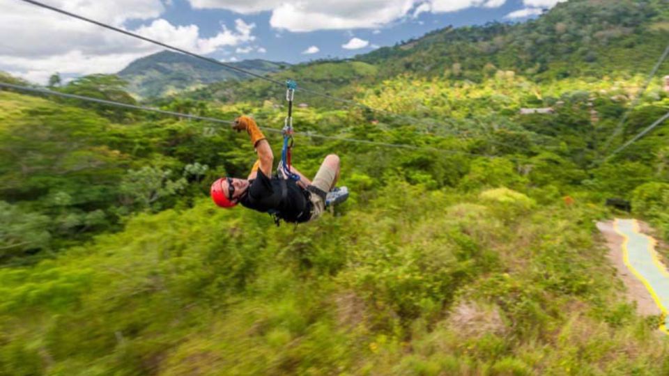 Rainforest Ziplining Adventure - Ziplining Experience