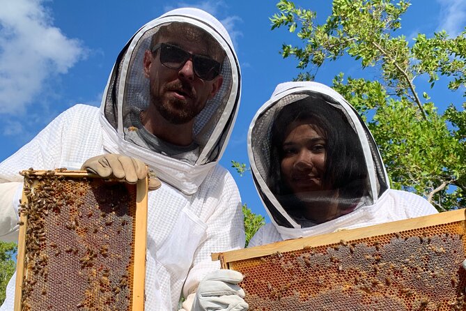 Reagan's Honey Beekeeping Adventure - Tips for Your Visit