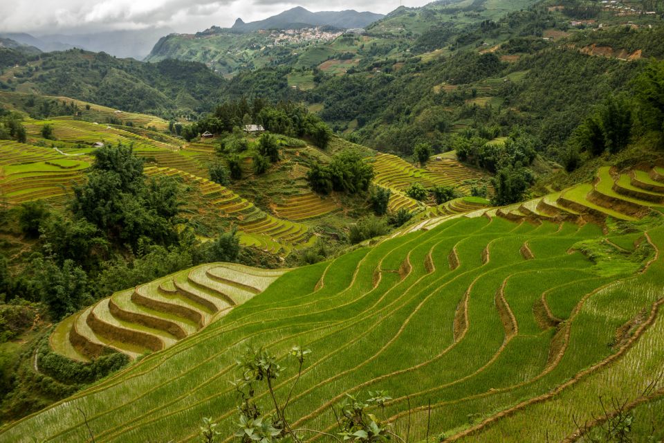 Red Dao Village Trek and Herbal Bath - Preparation Tips