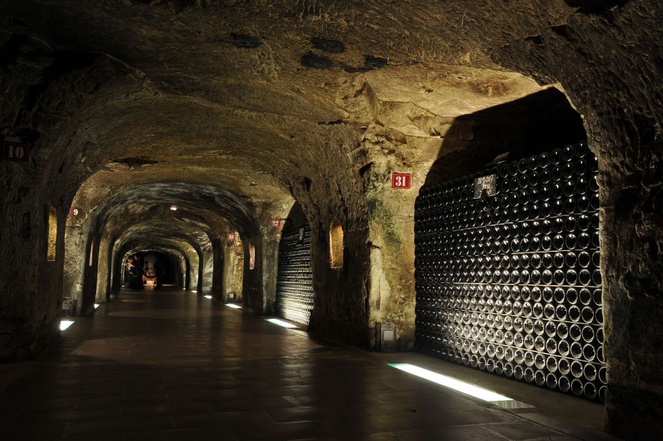 Reims/Epernay: Private Moet & Chandon Winery Tour & Tastings - Tasting Experiences