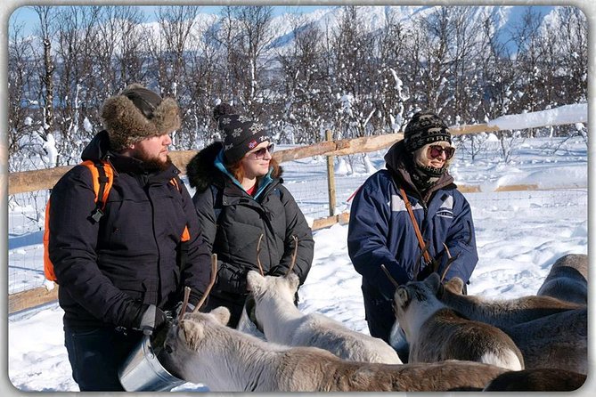 Reindeer Feeding & Saami Culture - Operational Details and Accessibility