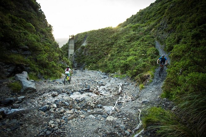 Remutaka Rail Trail Explorer - Ebike Cruise Ship Shore Excursion - Customer Reviews and Ratings