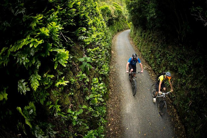 Remutaka Rail Trail Explorer - Ebike Cruise Ship Shore Excursion - Accessibility Information