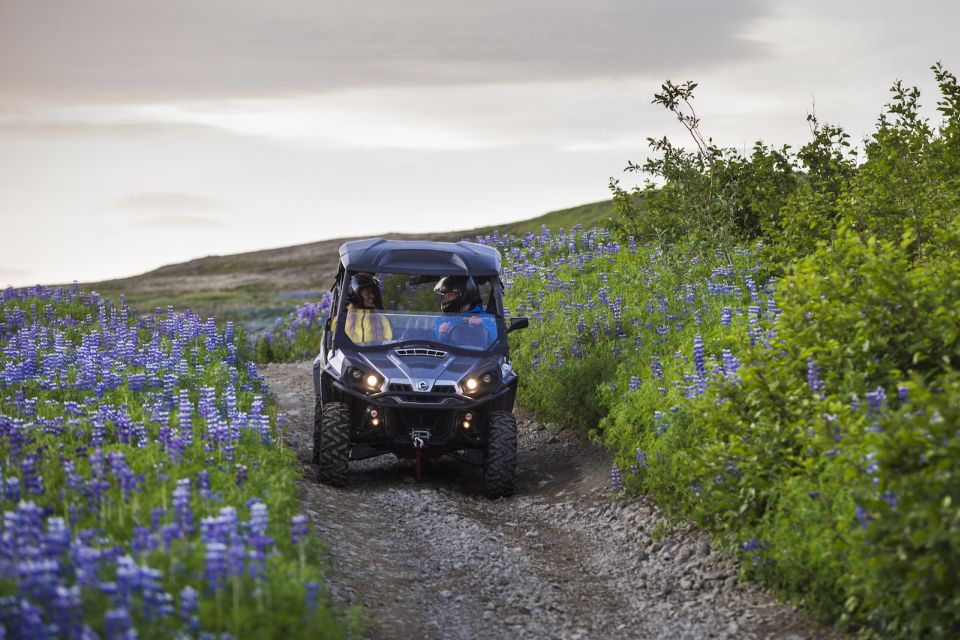 Reykjavik: Buggy Safari Tour With Hotel Transfers - Tips for Your Safari Adventure