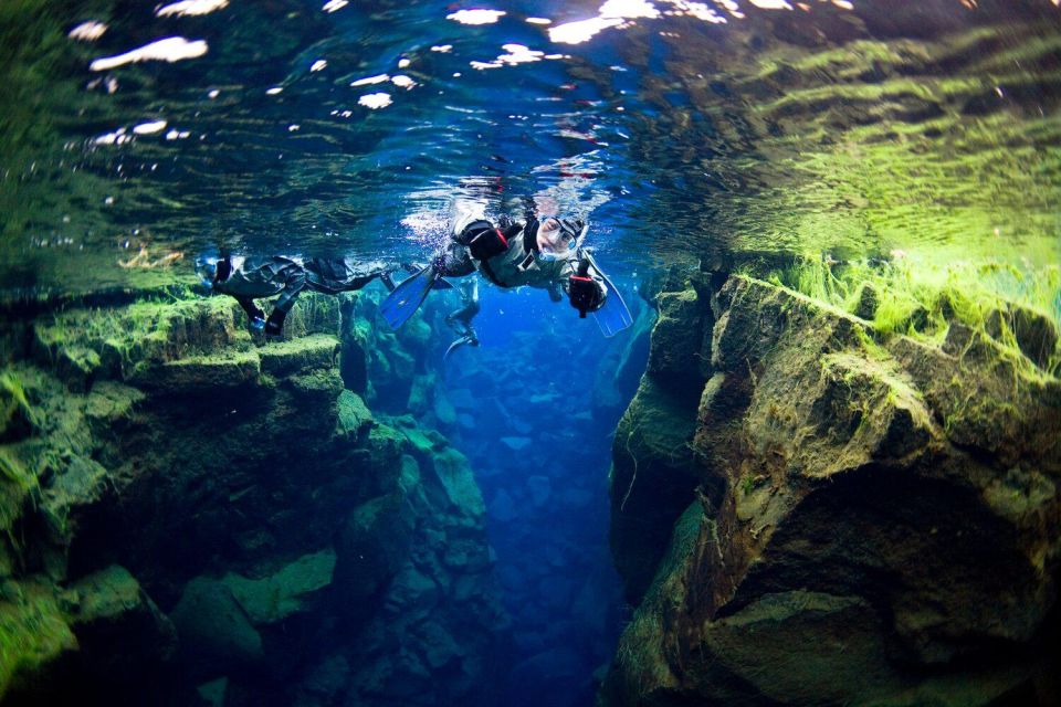 Reykjavík: Silfra Fissure Snorkeling Tour With Photo & Cocoa - What to Expect