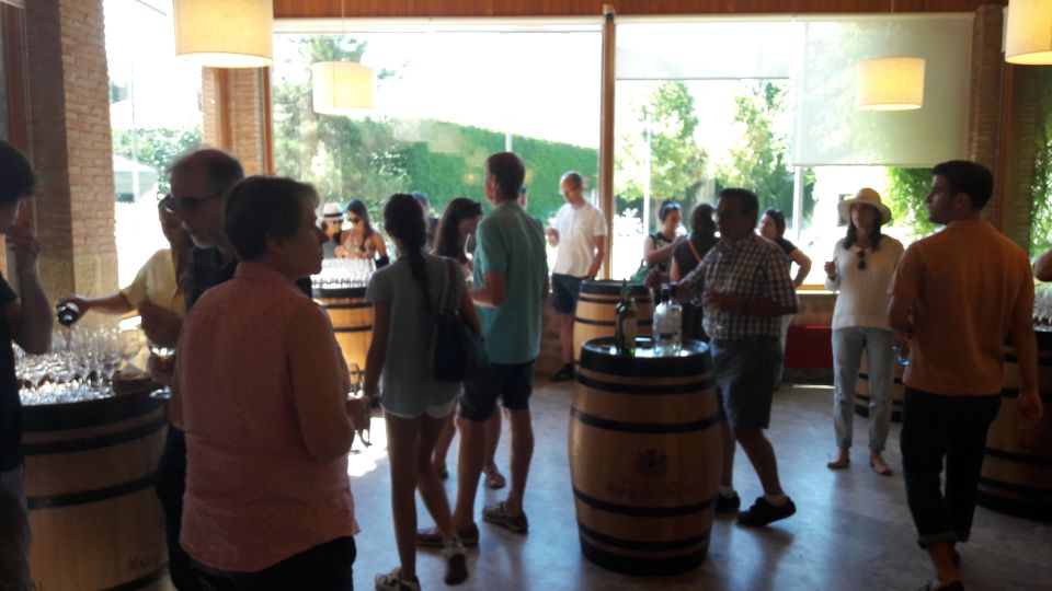 Rioja: Private Wine Tasting Tour - Exploring Traditional Cave-Cellars