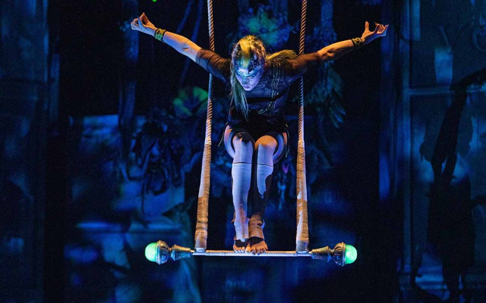 Riviera Maya: Cirque Du Soleil JOY À Ticket - Dinner Experience