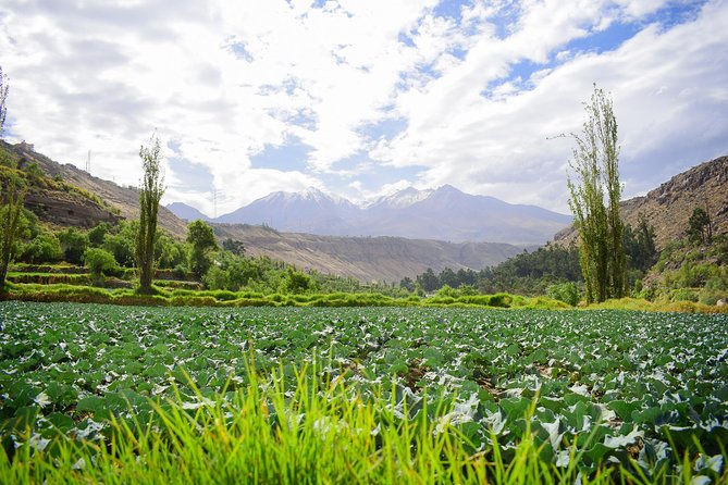 Rock Climbing Arequipa in Valle De Chilina - Tips for a Great Climbing Day
