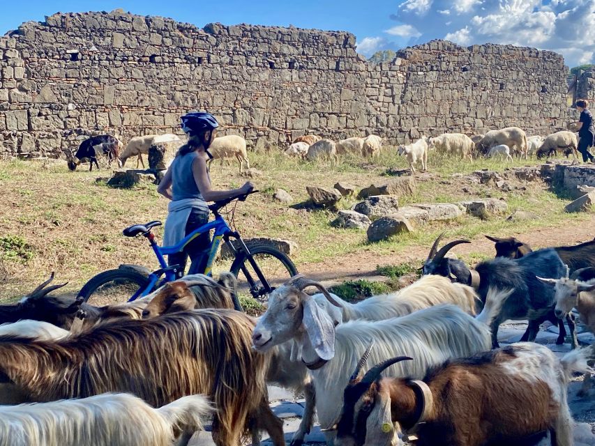 Rome:Appian Way E-Bike Tour With Catacombs, Aqueducts & Food - Requirements for Participants