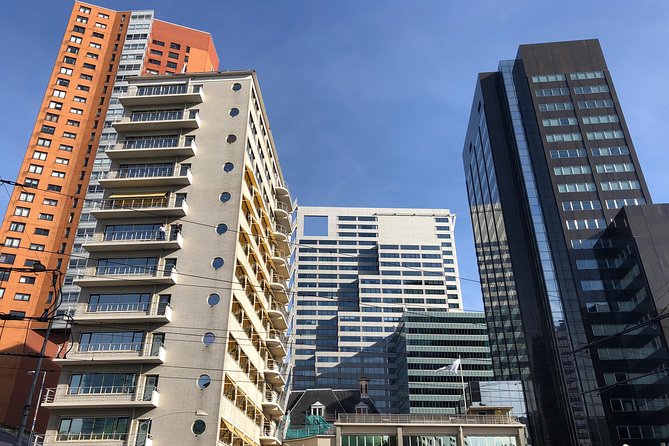 Rotterdam Architecture Highlights Walking Tour - Tips for Your Visit