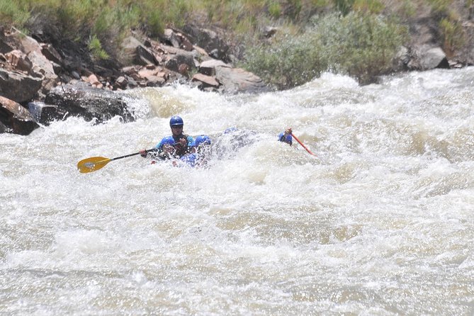 Royal Gorge Half-Day Rafting Trip - Customer Reviews and Feedback