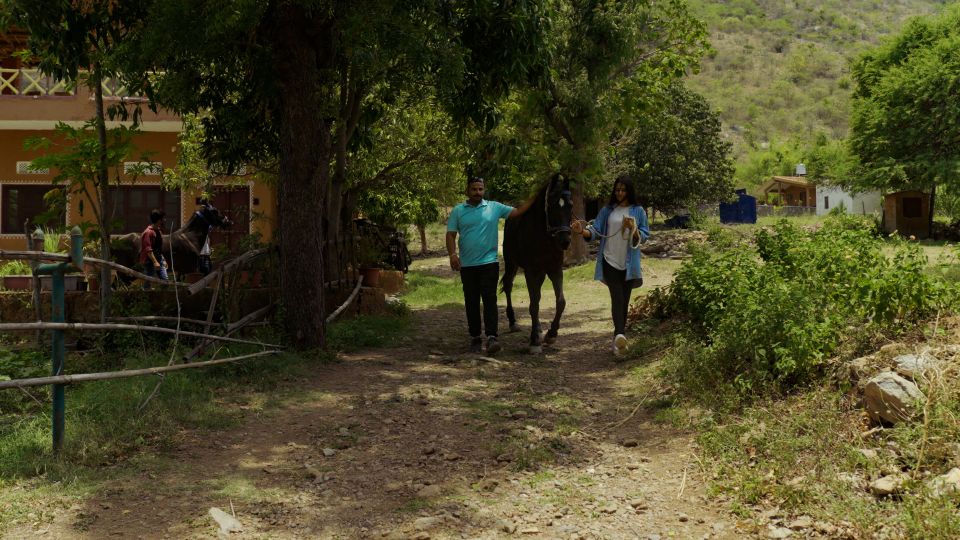 Rural Trail On Marwari Horseback At Private Ranch in 12Acres - Participant Eligibility and Guidelines