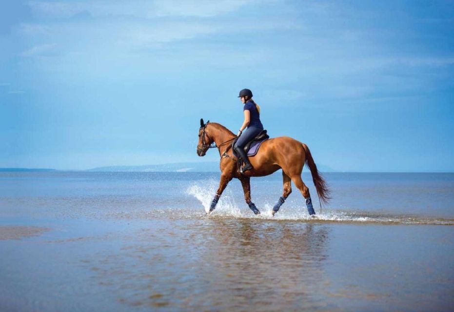 Saddle Up for a 1-Hour Horseback Riding Adventure in Pokhara - Tips for First-Time Riders