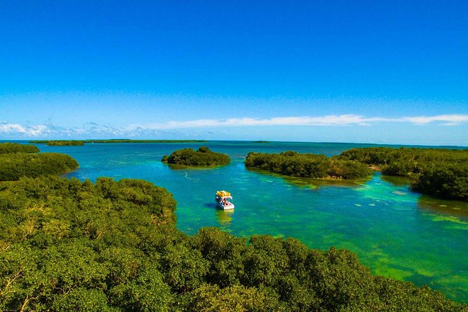 Sail, Snorkel, Kayak, Dolphins, and Lunch With Honest Eco - Ideal for All Skill Levels