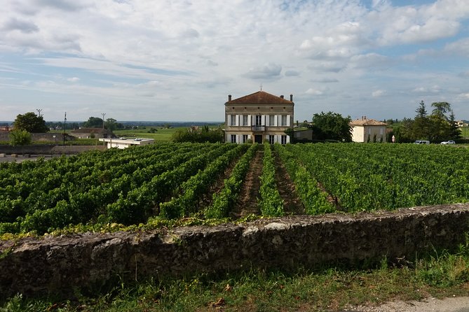 Saint Emilion Wine Tour Half Day - Tips for a Great Experience
