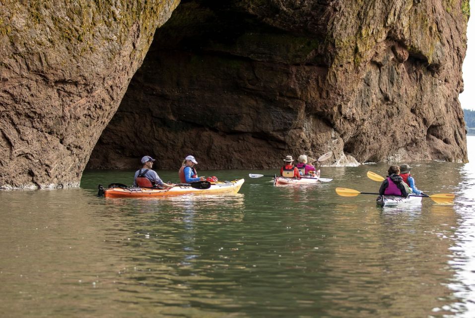 Saint John: Bay of Fundy Guided Kayaking Tour With Snack - Fundy Isles Archipelago and Islands