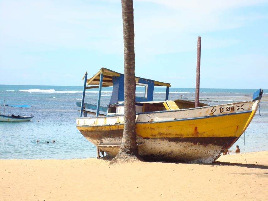 Salvador: Praia Do Forte and Guarajuba Beach Day Trip - Frequently Asked Questions