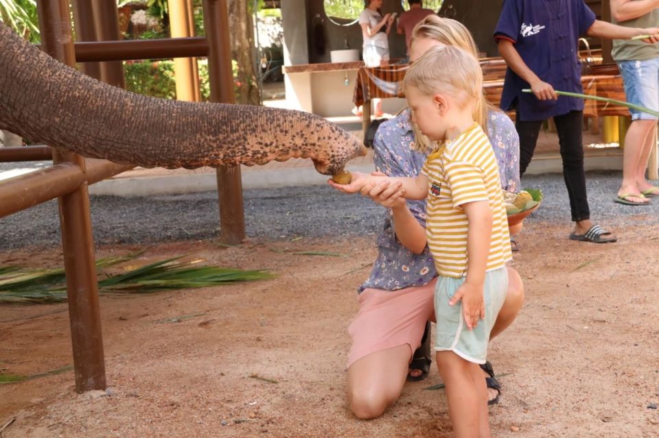 Samui: Feeding Program at the Elephant Home Nursery - Capture Memorable Photos