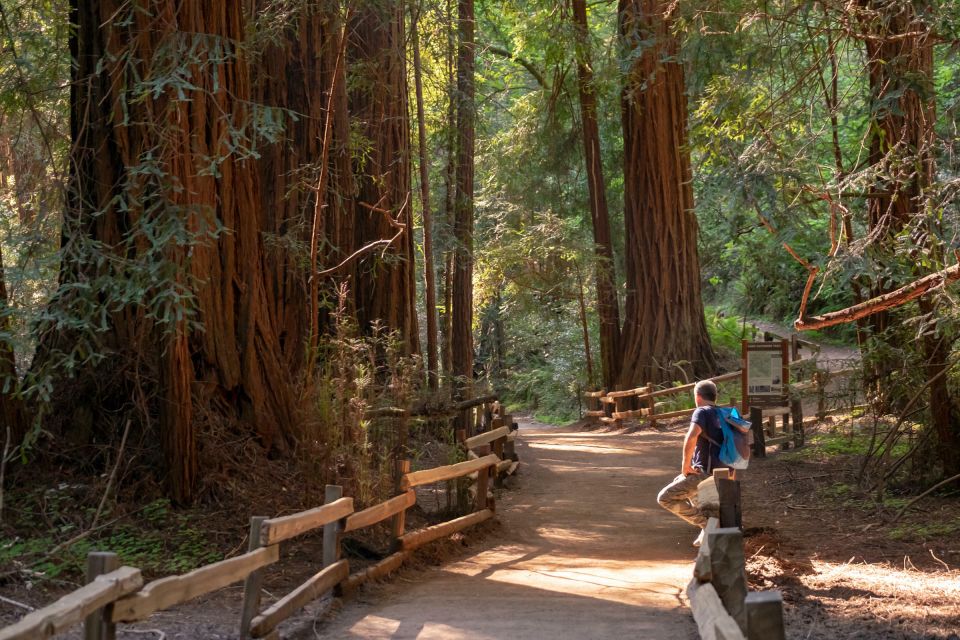 San Francisco: Private Muir Woods and Sausalito Tour - Tour Directions and Recommendations