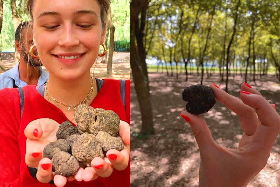 San Gimignano: Truffle Hunting With Lunch & Wine Tasting - Duration and Meeting Point