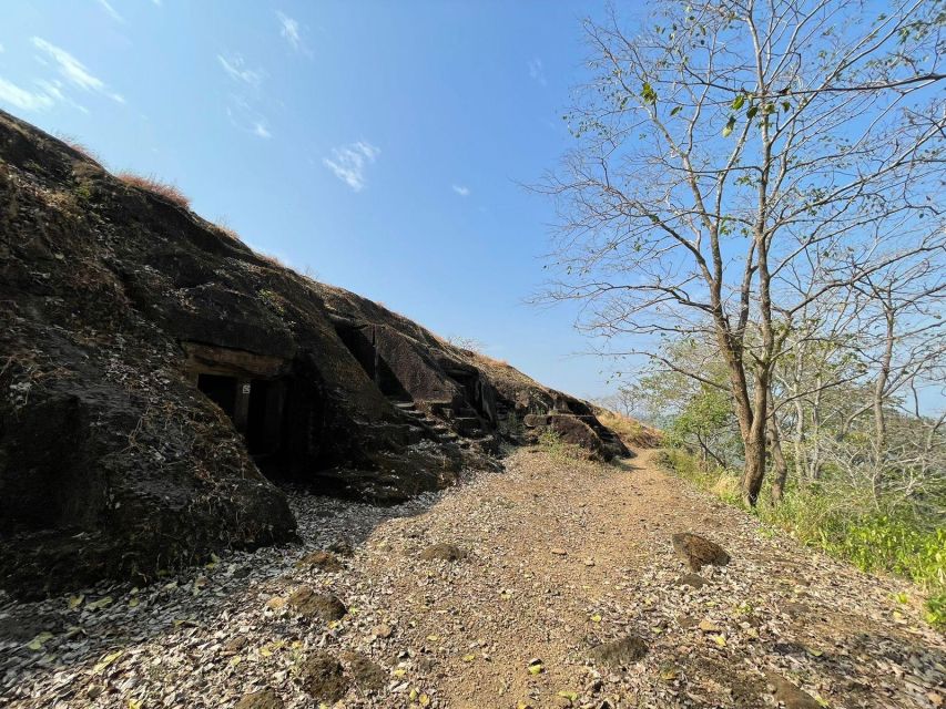 Sanjay Gandhi National Park + Kenheri Caves + Lion Safari - Safety and Comfort
