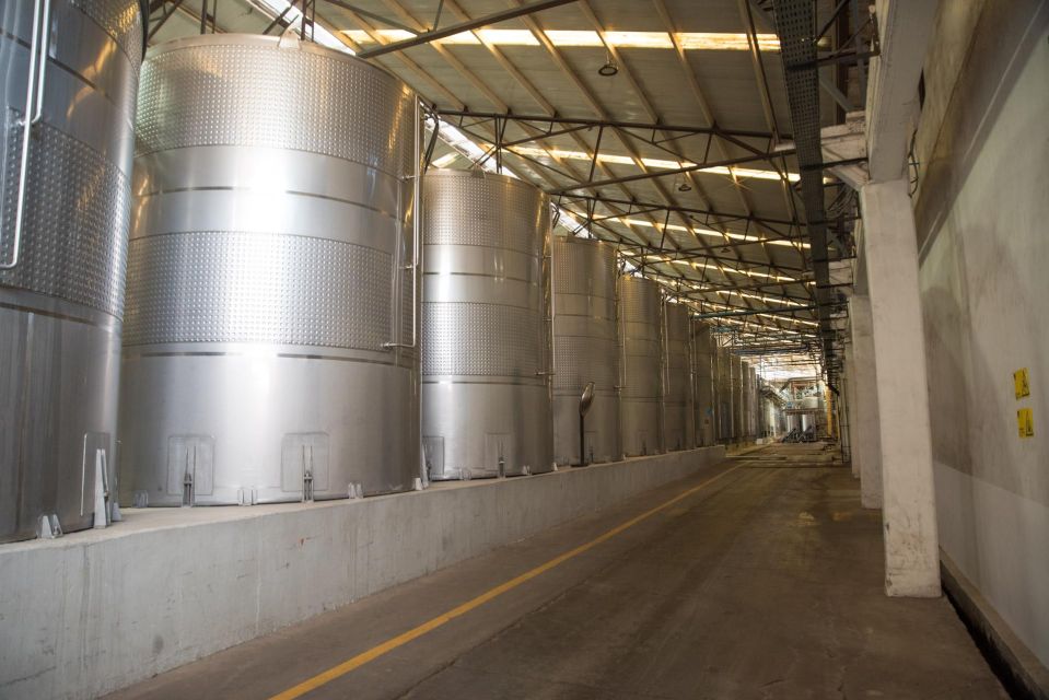 Santa Rita: Tour + Premium Wine Tasting + Private Transport - Customer Reviews and Ratings
