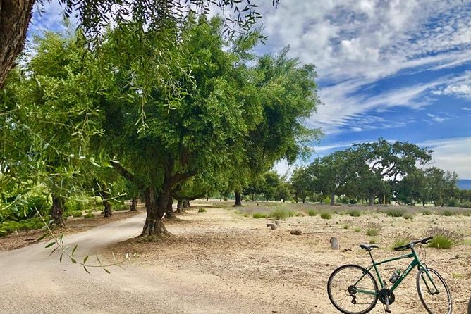 Santa Ynez Valley Biking and Wine Tasting Tour - Booking Information and Pricing