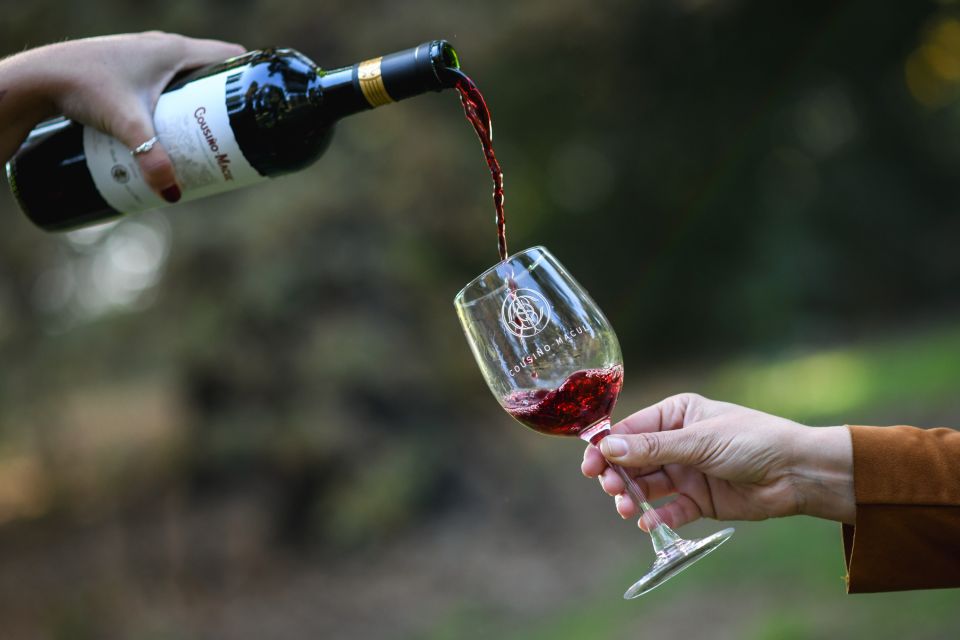Santiago: Cousiño Macul Official Winery Tour With Tasting - Accessibility Features