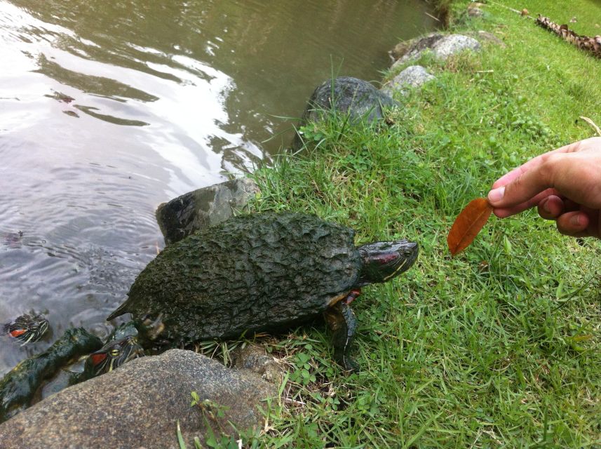 Santo Domingo: Natural Treasures of the City - Exploring Three Eyes National Park