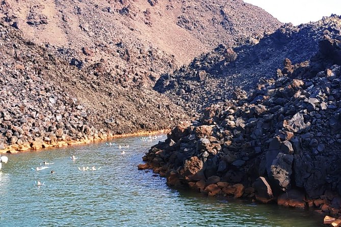 Santorini Volcanic Islands Cruise: Volcano, Hot Springs and Thirassia - Tips for a Great Experience