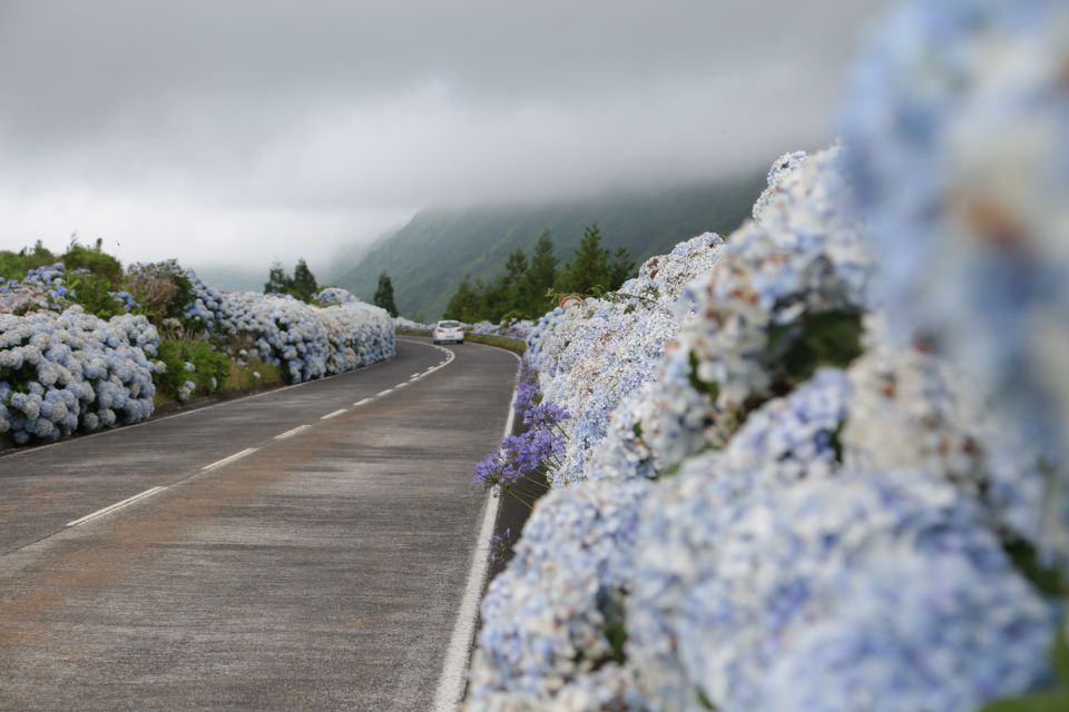 São Miguel West: Sete Cidades and Fogo Tour With Lunch - Customizable Tour Inclusions